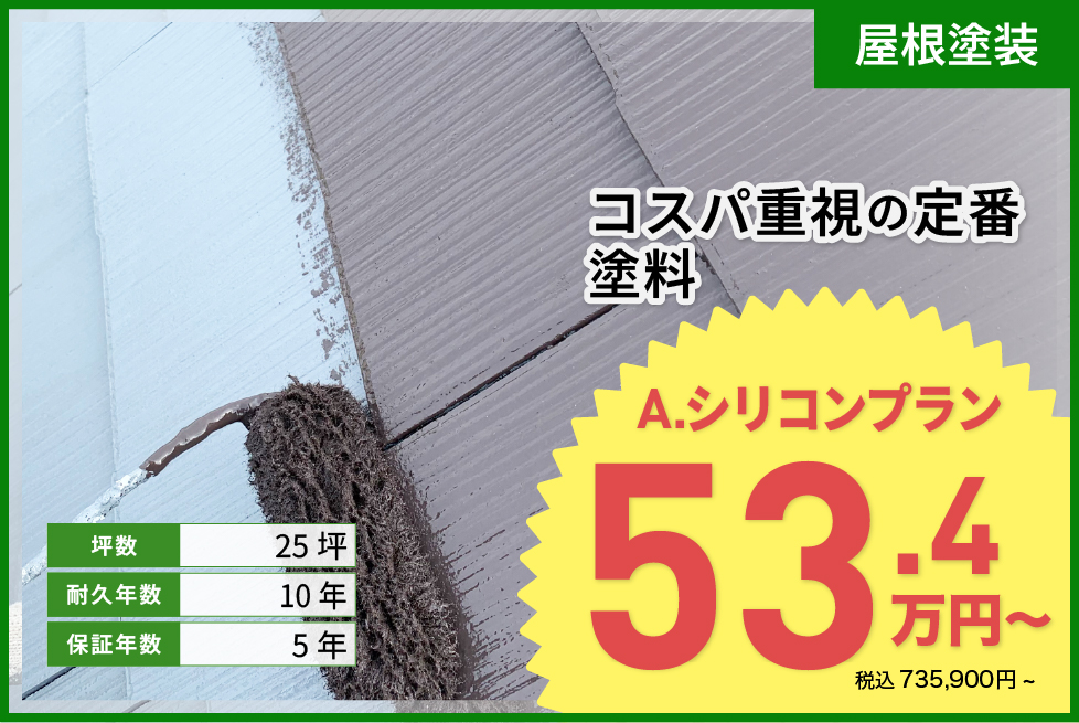 シリコンプラン